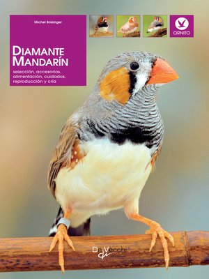 cover image of Diamante mandarín